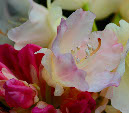 DSC_5035_1