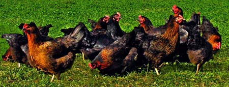 DSCN3262another adjustment